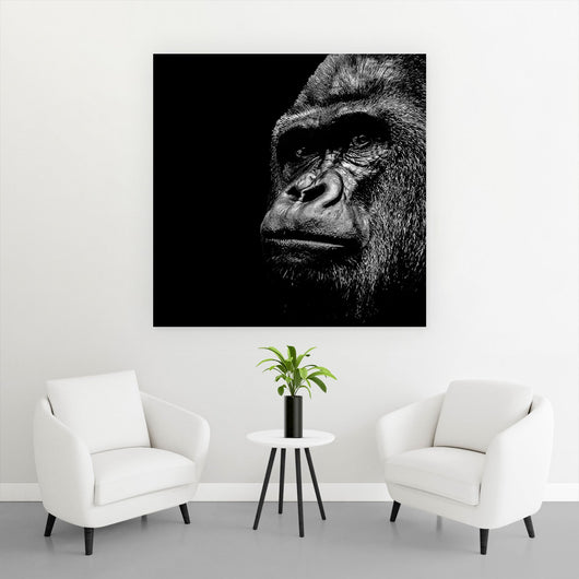 Aluminiumbild Gorilla Porträt Quadrat