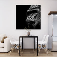 Lade das Bild in den Galerie-Viewer, Aluminiumbild gebürstet Gorilla Porträt Quadrat
