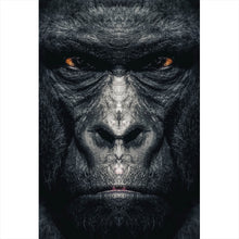 Lade das Bild in den Galerie-Viewer, Poster Gorilla Portrait Hochformat
