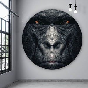 Aluminiumbild gebürstet Gorilla Portrait Kreis
