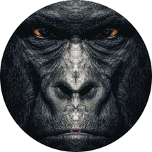 Lade das Bild in den Galerie-Viewer, Aluminiumbild gebürstet Gorilla Portrait Kreis
