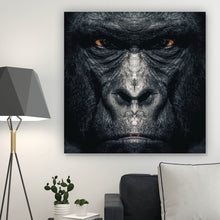 Lade das Bild in den Galerie-Viewer, Aluminiumbild gebürstet Gorilla Portrait Quadrat
