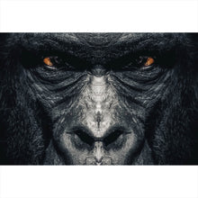 Lade das Bild in den Galerie-Viewer, Aluminiumbild gebürstet Gorilla Portrait Querformat
