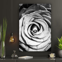 Lade das Bild in den Galerie-Viewer, Spannrahmenbild Graue Rose Hochformat
