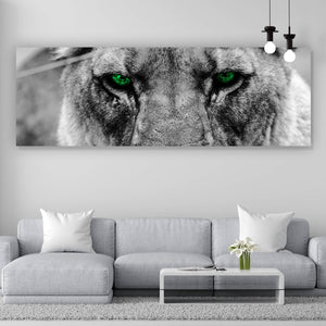Leinwandbild Green Eye Lion Panorama