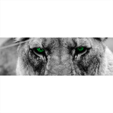Lade das Bild in den Galerie-Viewer, Leinwandbild Green Eye Lion Panorama
