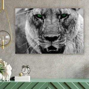 Aluminiumbild gebürstet Green Eye Lion Querformat