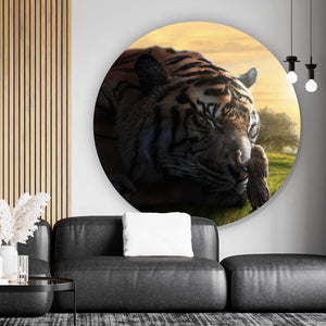 Aluminiumbild Großer Tiger mit Frau Kreis