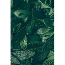 Lade das Bild in den Galerie-Viewer, Spannrahmenbild Grüne Blätter Hochformat
