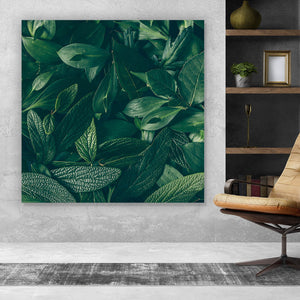 Leinwandbild Grüne Aufhängefertig im Panorama, Blätter – Versandkostenfrei & Wandguru