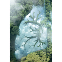 Lade das Bild in den Galerie-Viewer, Aluminiumbild Grüne Lunge des Planeten Hochformat
