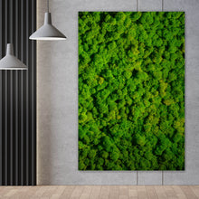 Lade das Bild in den Galerie-Viewer, Aluminiumbild Hellgrünes Moos Hochformat
