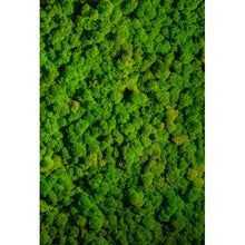 Lade das Bild in den Galerie-Viewer, Aluminiumbild gebürstet Hellgrünes Moos Hochformat
