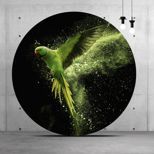 Aluminiumbild gebürstet Grüner Papagei Kreis