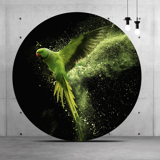 Aluminiumbild Grüner Papagei Kreis