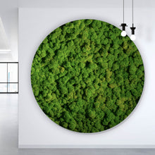 Lade das Bild in den Galerie-Viewer, Aluminiumbild gebürstet Hellgrünes Moos Kreis
