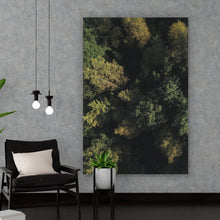 Lade das Bild in den Galerie-Viewer, Aluminiumbild gebürstet Herbstbäume im Wald Hochformat
