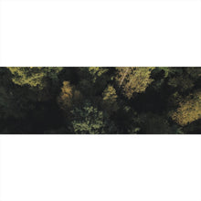 Lade das Bild in den Galerie-Viewer, Acrylglasbild Herbstbäume im Wald Panorama
