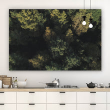Lade das Bild in den Galerie-Viewer, Aluminiumbild Herbstbäume im Wald Querformat

