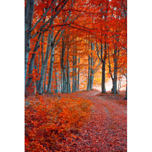 Lade das Bild in den Galerie-Viewer, Poster Herbstmorgen im Wald Hochformat
