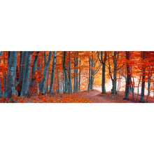 Lade das Bild in den Galerie-Viewer, Acrylglasbild Herbstmorgen im Wald Panorama

