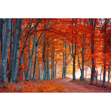 Lade das Bild in den Galerie-Viewer, Acrylglasbild Herbstmorgen im Wald Querformat
