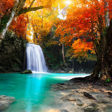 Lade das Bild in den Galerie-Viewer, Acrylglasbild Herbstwald mit Wasserfall Quadrat
