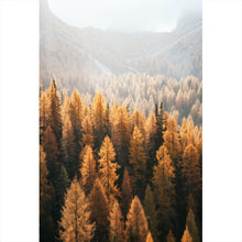 Lade das Bild in den Galerie-Viewer, Aluminiumbild Herbstwald No.1 Hochformat
