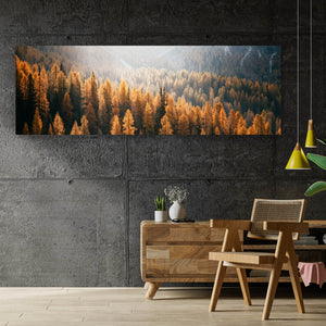 Aluminiumbild gebürstet Herbstwald No.1 Panorama