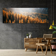 Lade das Bild in den Galerie-Viewer, Acrylglasbild Herbstwald No.1 Panorama
