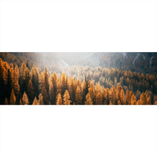 Lade das Bild in den Galerie-Viewer, Aluminiumbild gebürstet Herbstwald No.1 Panorama
