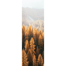 Lade das Bild in den Galerie-Viewer, Acrylglasbild Herbstwald No.1 Panorama Hoch
