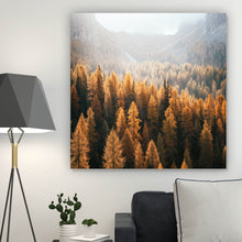 Lade das Bild in den Galerie-Viewer, Aluminiumbild gebürstet Herbstwald No.1 Quadrat
