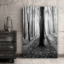 Lade das Bild in den Galerie-Viewer, Spannrahmenbild Herbstwald Schwarz Weiß Hochformat

