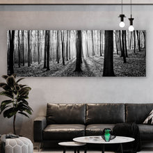 Lade das Bild in den Galerie-Viewer, Acrylglasbild Herbstwald Schwarz Weiß Panorama
