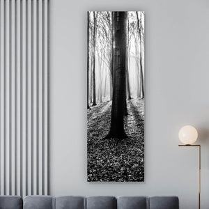 Acrylglasbild Herbstwald Schwarz Weiß Panorama Hoch