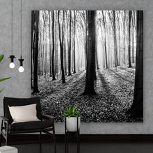 Lade das Bild in den Galerie-Viewer, Spannrahmenbild Herbstwald Schwarz Weiß Quadrat
