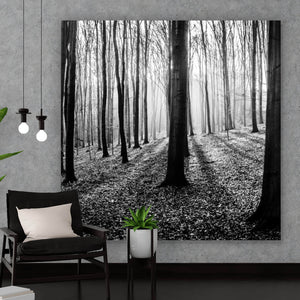 Spannrahmenbild Herbstwald Schwarz Weiß Quadrat