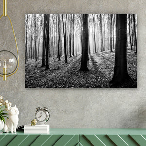 Spannrahmenbild Herbstwald Schwarz Weiß Querformat