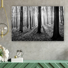 Lade das Bild in den Galerie-Viewer, Leinwandbild Herbstwald Schwarz Weiß Querformat
