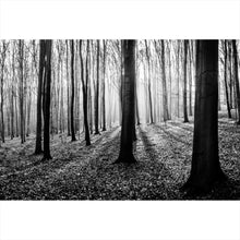 Lade das Bild in den Galerie-Viewer, Spannrahmenbild Herbstwald Schwarz Weiß Querformat
