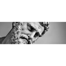 Lade das Bild in den Galerie-Viewer, Aluminiumbild gebürstet Hercules Skulptur in Florenz Panorama
