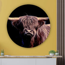 Lade das Bild in den Galerie-Viewer, Aluminiumbild gebürstet Highland Rind auf Schwarz Kreis
