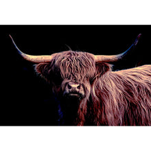 Lade das Bild in den Galerie-Viewer, Leinwandbild Highland Rind auf Schwarz Querformat
