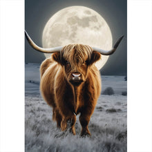 Lade das Bild in den Galerie-Viewer, Spannrahmenbild Highland Rind im Mondschein Hochformat
