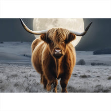 Lade das Bild in den Galerie-Viewer, Acrylglasbild Highland Rind im Mondschein Querformat
