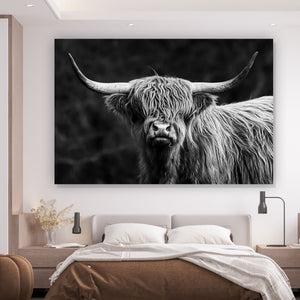 Schwarz-Weiß im Rind Leinwandbild Wandguru Versandkostenfrei – & Panorama, Highland Aufhängefertig