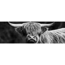 Lade das Bild in den Galerie-Viewer, Leinwandbild Highland Rind Schwarz-Weiß Panorama
