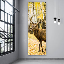 Lade das Bild in den Galerie-Viewer, Aluminiumbild gebürstet Hirsch im herbstlichen Wald Panorama Hoch
