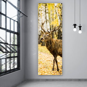 Acrylglasbild Hirsch im herbstlichen Wald Panorama Hoch
